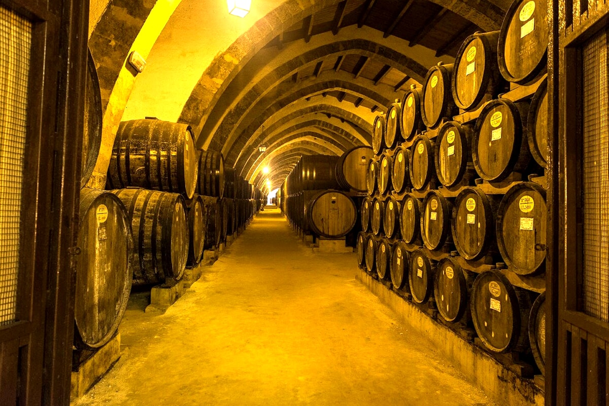 Le cantine del vino a Trapani